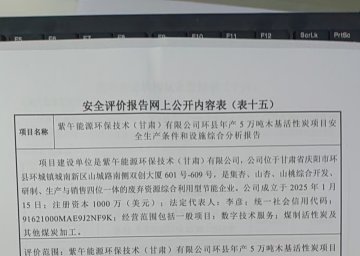 紫午能源环保技术(甘肃)有限公司环县年产5 万吨木基活性炭项目安全生产条件...