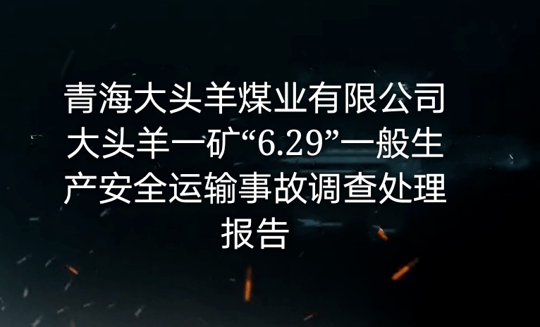 青海大头羊煤业有限公司大头羊一矿“6・29”一般生产安全运输事故调查处...